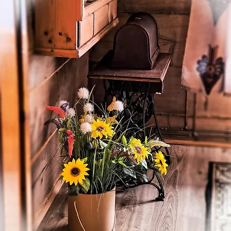 Homestay Pod Cyrlica U Jozi *