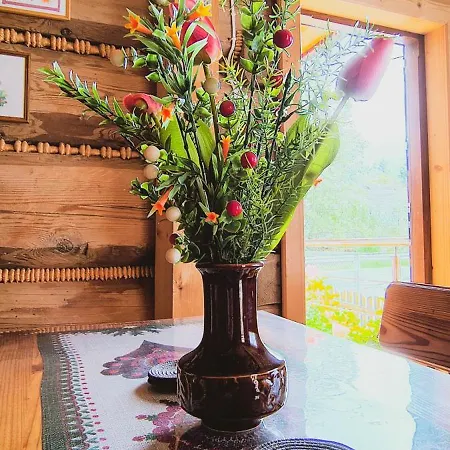 Pod Cyrlica U Jozi Homestay *