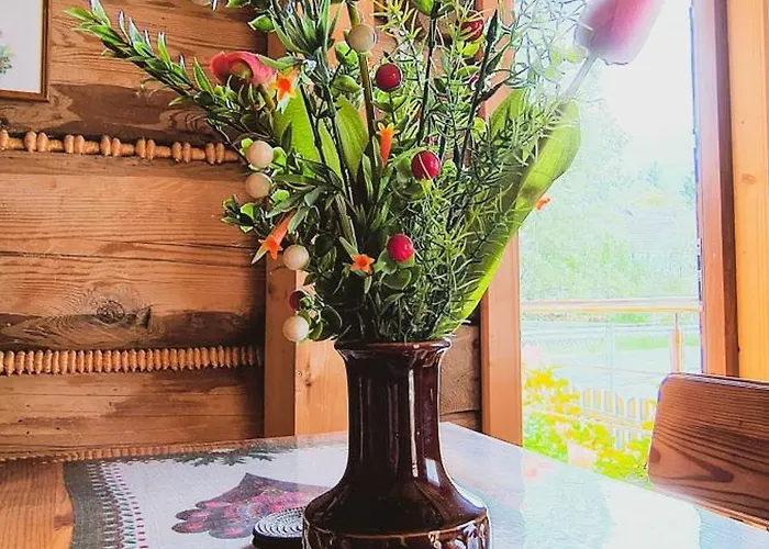 Pod Cyrlica U Jozi Homestay *